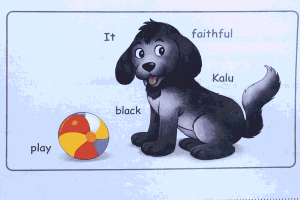 PSEB Class 5th English Sample Paper 1 March 2026